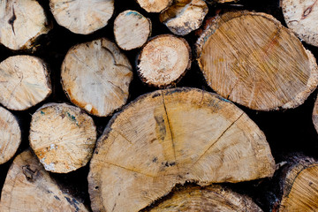 Naklejka premium Wood texture background of cut logs. Pile of logs.