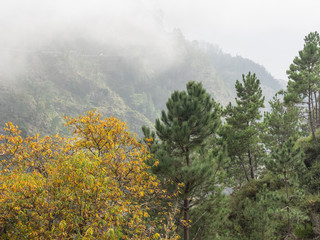 Madeira