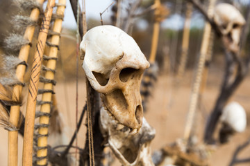 Totemkult bei den Hadza (auch Hadzabe, Hadapi, Kindiga, Tindiga, Wakindiga, Kangeju)
