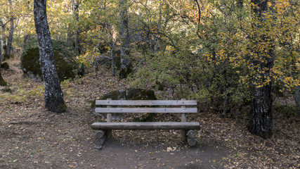 Wooden bench in the Forest of La Herreria, San Lorenzo del Escorial
