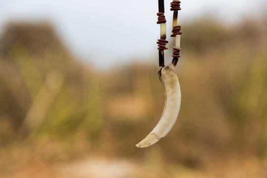 Totems des afrikanischen Urweltstammes Hatsabe