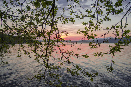 sonset