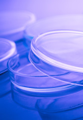 Petri dishes close up