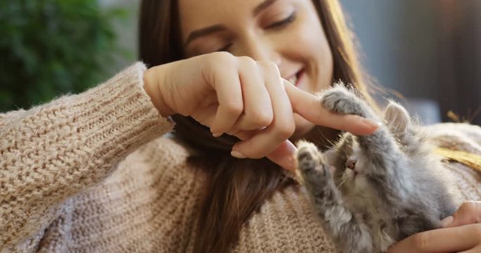 Young pretty woman playing with a little kitty cat and it trying to bite her finger. At home. Indoors. close up. Portrait