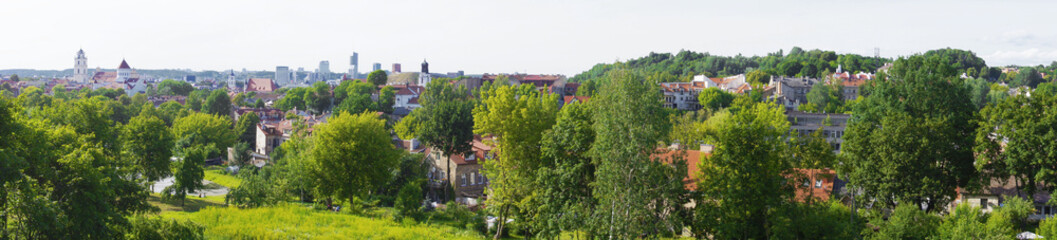 Fototapeta na wymiar Panoramic view of the city Vilnius.