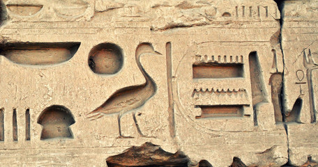 Egyptian hieroglyphs on the wall
