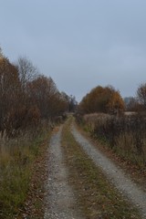 Obraz na płótnie Canvas Autumn road