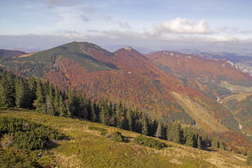 Naklejka na ściany i meble Autumn landscape in a national park Mala Fatra, Slovakia, Carpathian Mountains, Europe