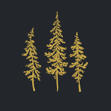 Christmas trees realistic hand drawn vector set, isolated over white