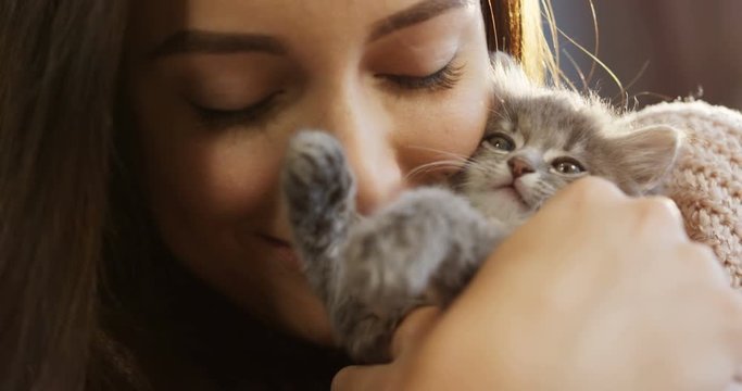 Attractive young woman caressing and hugging her little grey pussycat and kissing it. Portrait shot. Close up. Indoor