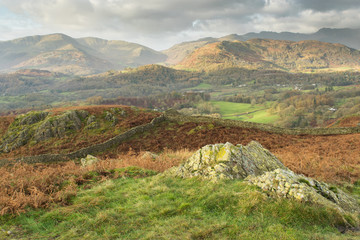Loughrigg Fell Landscape Lake District