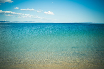 environment and ecology.