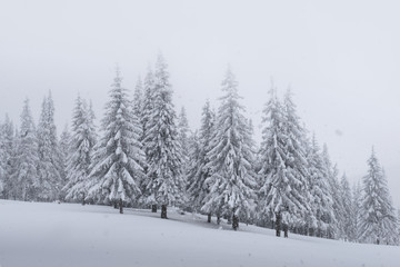 Fantastic winter landscape