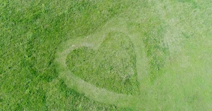 heart shape in grass