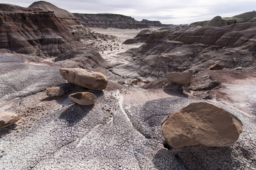 Jessie's Twist Utah