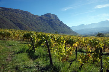 campagne et terroir