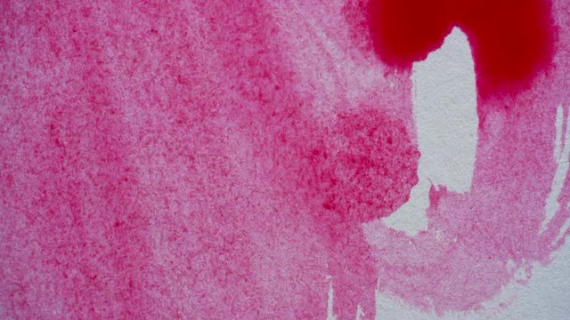 Drawing with a paintbrush on white paper with red watercolor close up