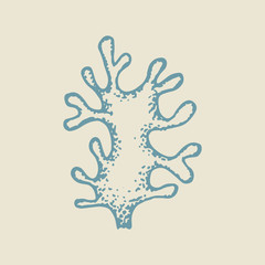 sea coral hand drawing vector. sketch isolated