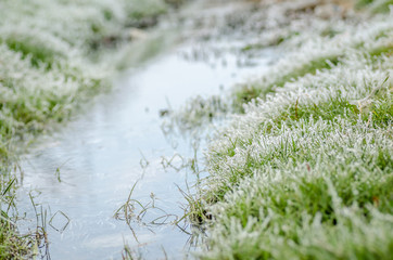 The grass near the stream covered with snow 