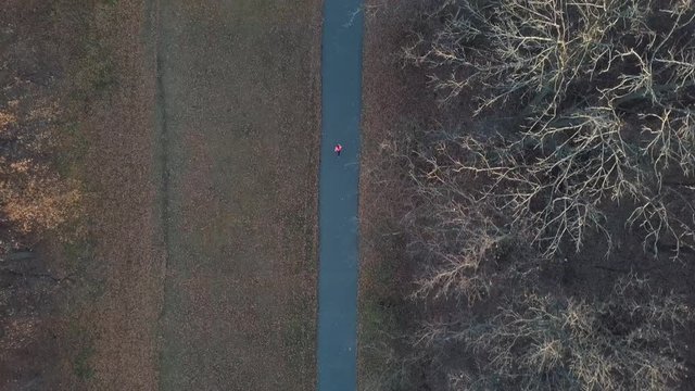 Aerial view of the woman running through an autumn forest at sunset