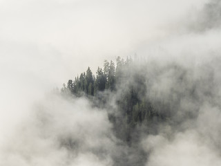 A glimpse of a forest hill  and trees showing trough thick fog and clouds