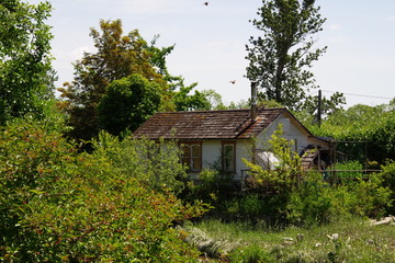 abandoned house