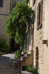 Fototapeta na wymiar villaggio in provenza