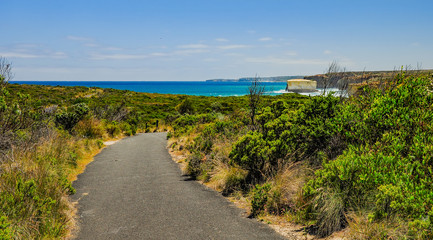 Fototapeta premium The great ocean road. National Park Campbell.