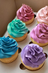 Tasty colorful cupcakes in cardboard box