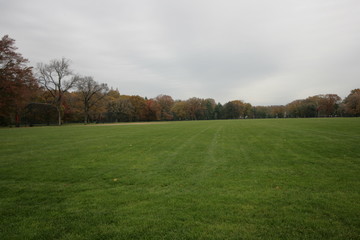 Beautiful fall scenery in Central Park New York at November.