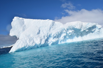 antartica