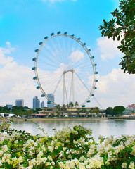 Beautiful Singapore Flyer