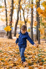 A happy boy having fun in the park in autumn walking and playing with leaves. Family, love, happiness concept. 