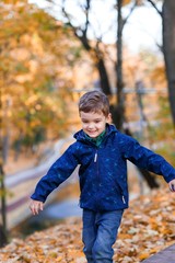 A happy boy having fun in the park in autumn walking and playing with leaves. Family, love, happiness concept. 