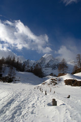 Fototapeta premium landscape