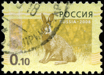 RUSSIA - CIRCA 2008: Stamp printed in RUSSIA showing hare Bunny circa 2008.