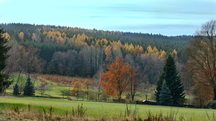 Herbstlanschaft