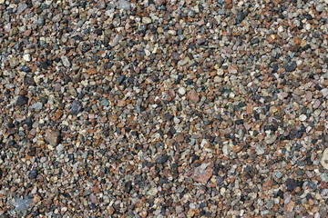 sea shells background.