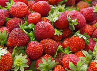 Background of beautiful and juicy strawberries with green leaves