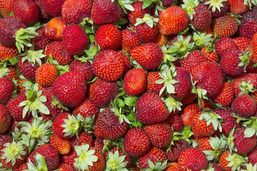Background of beautiful and juicy strawberries with green leaves