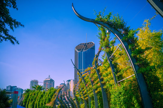 Brisbane City Buildings, shot from the South Bank Arbour