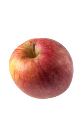 Apfelsorte "Shampion"