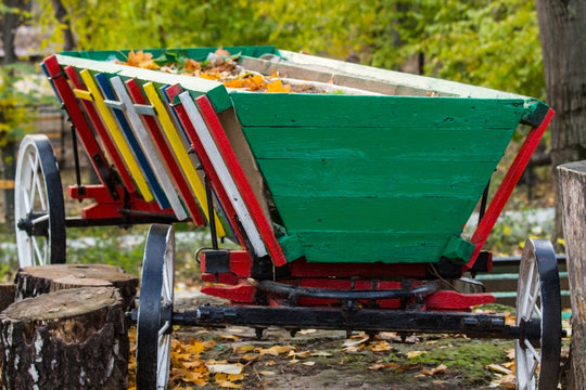 multicolored carriage in the parck