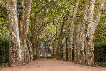 Naklejka premium Caldas Da Rainha, Portugal
