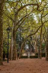 Caldas Da Rainha, Portugal