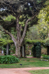 Caldas Da Rainha, Portugal