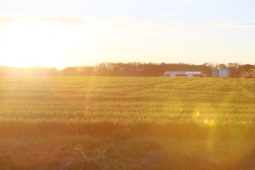 Obraz premium Farm land