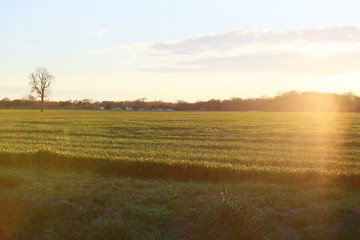 Farm land