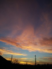 Pretty colorful sunset with trees in background
