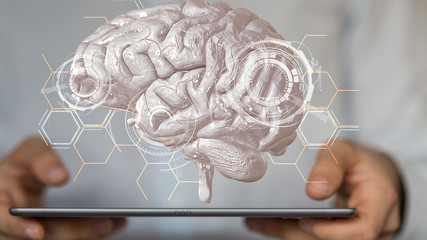 brain